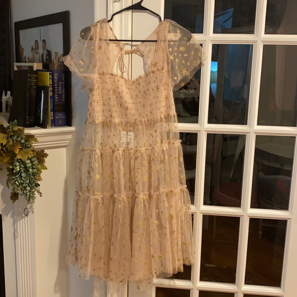 free people sheer star dress